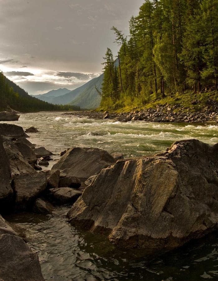 Laine Pires — fotógrafa de casais e famílias no Porto e Lisboa