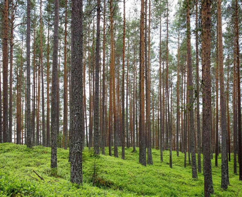 Couple in Alfama, Lisbon