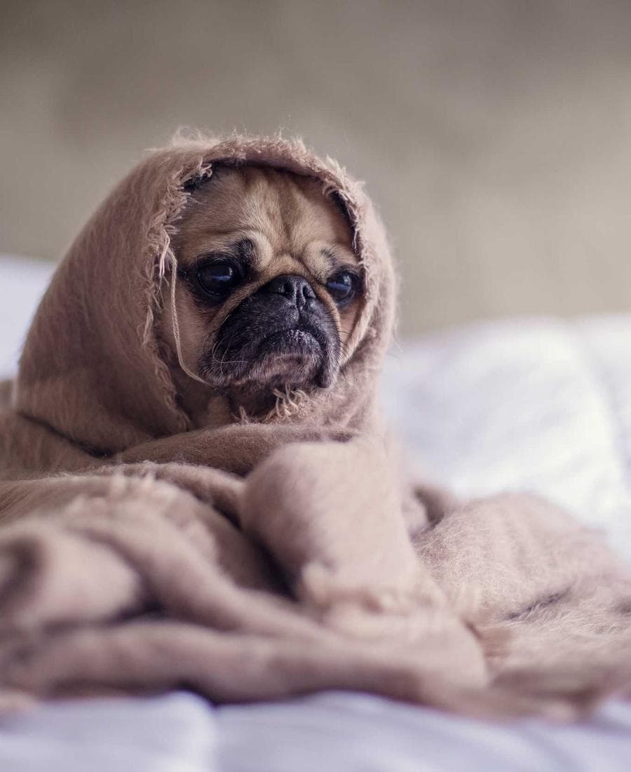Ribeira, Porto — couples session