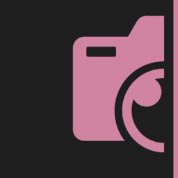 www.lainepiresfotografia.com favicon